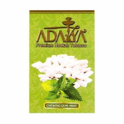 Chewing Gum Mint (Жвачка с Мятой)