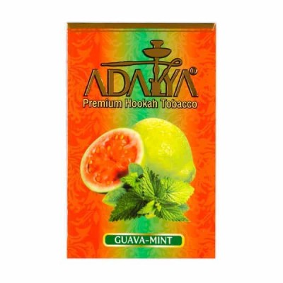 Guava Mint (Гуава Мята)