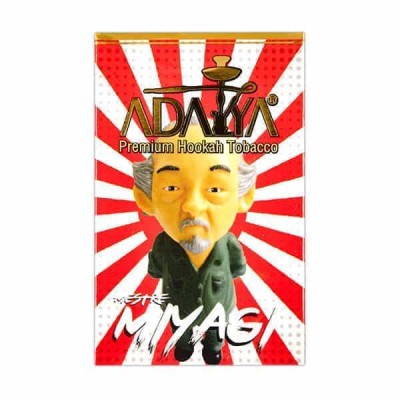 Mestre Miyagi (Мистер Мияги)