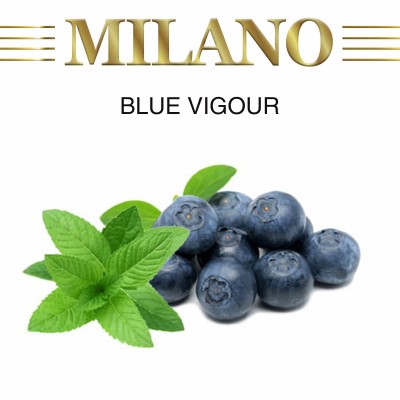 Blue Vigour M16 (Черника Мята)
