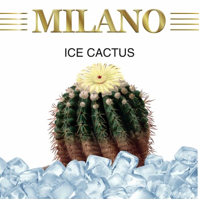 Ice Cactus M44 (Ледяной Кактус)